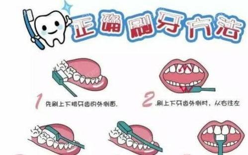2024上海口腔医院假牙义齿收费贵吗 价格表显示拜耳牙20/纯钛支架2000元起